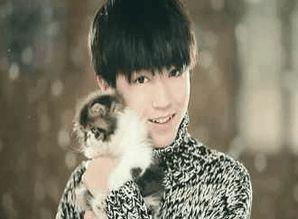 娱乐圈吃瓜爆料吴磊赵今麦,娱乐圈新恋情曝光?  第3张 娱乐圈吃瓜爆料吴磊赵今麦,娱乐圈新恋情曝光?  第3张