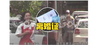 名星热点爆料最新消息,明星动向大揭秘,最新动态一网打尽!