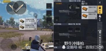 刺激战场测试服最新爆料,全新内容与优化来袭,玩家体验再升级