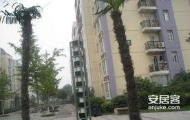 鑫苑都市爆料最新消息,揭秘项目进展与未来规划  第2张 鑫苑都市爆料最新消息,揭秘项目进展与未来规划  第2张