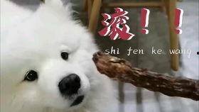 吃瓜娱乐汪,揭秘娱乐圈那些事儿  第2张 吃瓜娱乐汪,揭秘娱乐圈那些事儿  第2张