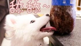 吃瓜娱乐汪,揭秘娱乐圈那些事儿  第3张 吃瓜娱乐汪,揭秘娱乐圈那些事儿  第3张