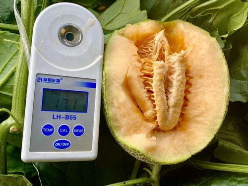 吃瓜合集免费,揭秘娱乐圈幕后故事,免费畅享娱乐盛宴  第2张 吃瓜合集免费,揭秘娱乐圈幕后故事,免费畅享娱乐盛宴  第2张