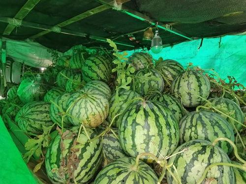 吃瓜合集免费,揭秘娱乐圈幕后故事,免费畅享娱乐盛宴  第3张 吃瓜合集免费,揭秘娱乐圈幕后故事,免费畅享娱乐盛宴  第3张