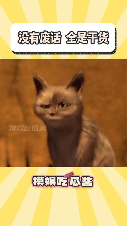 色猫吃瓜网站免费推荐,色猫吃瓜网站免费推荐,带你畅游娱乐新天地