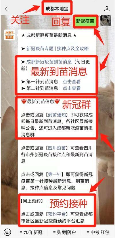 苗原最新爆料蓉城,蓉城风云再起,揭秘蓉城背后惊人真相