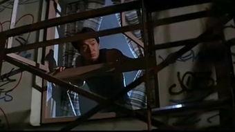 红番区高清在线观看,热血激战,高清重温经典动作传奇  第3张 红番区高清在线观看,热血激战,高清重温经典动作传奇  第3张