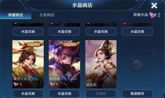 大唐皮肤最新爆料视频,揭秘古代风情与时尚融合的视觉盛宴  第3张 大唐皮肤最新爆料视频,揭秘古代风情与时尚融合的视觉盛宴  第3张