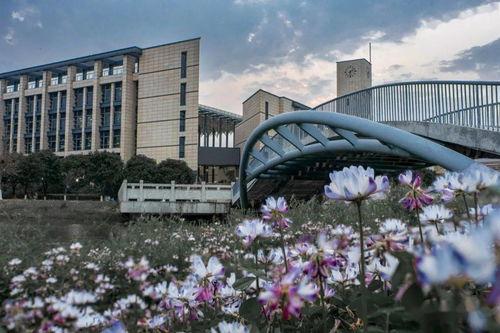 福州大学城爆料视频最新,揭秘校园生活新动态!  第3张 福州大学城爆料视频最新,揭秘校园生活新动态!  第3张