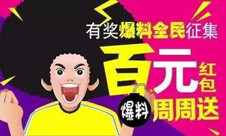 新鲜事物大爆料视频大全,揭秘最新奇事物!新鲜爆料视频大全盘点